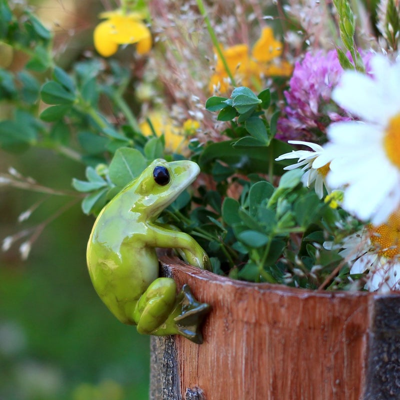 Top Collection Miniature Fairy Garden and Terrarium Frog Flower Pot and Vase Hugger, Mini - Image 2